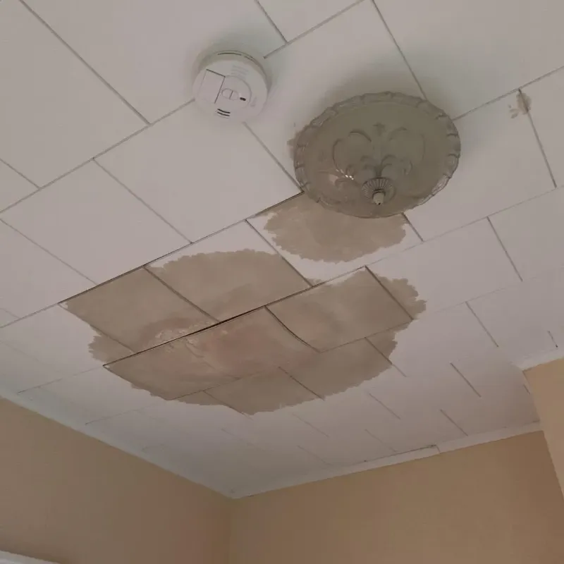 Ceiling Water Damage Repair in Deep River Center, CT